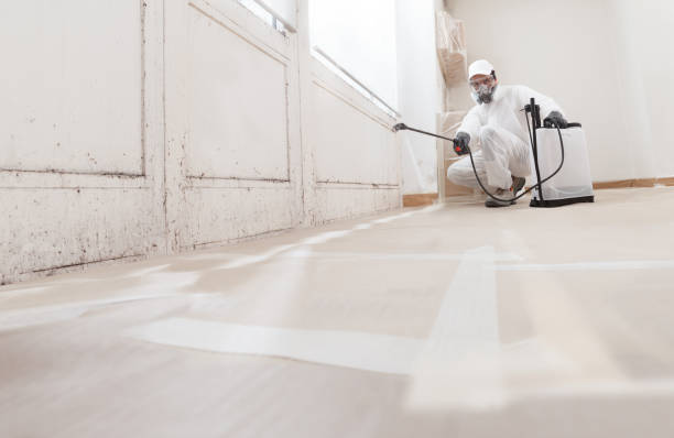 24/7 Emergency Mold Remediation experts in Deerfield, IL