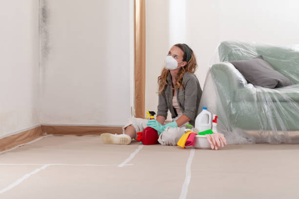 Reliable Mold Remediation contractor in Deerfield, IL by WQB Mold Removal